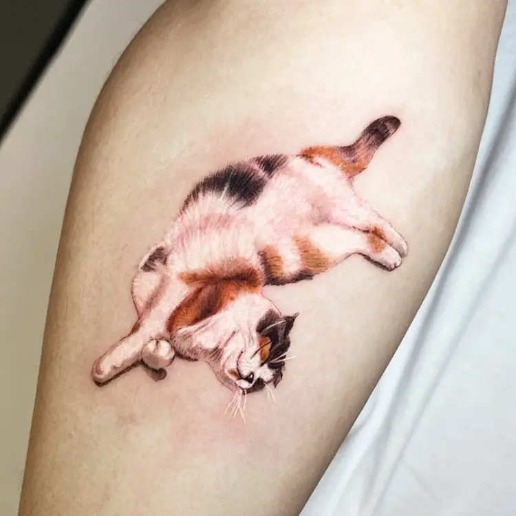 Animal