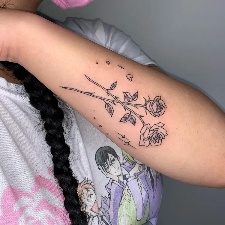 Flower, Nature, Rose