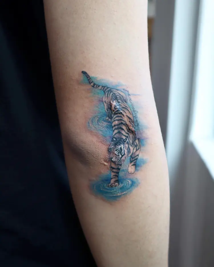 Tiger