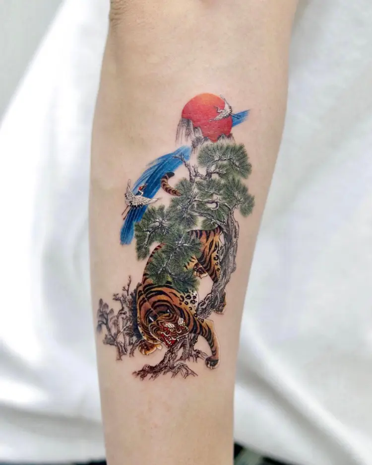 Animal, Nature, Tiger