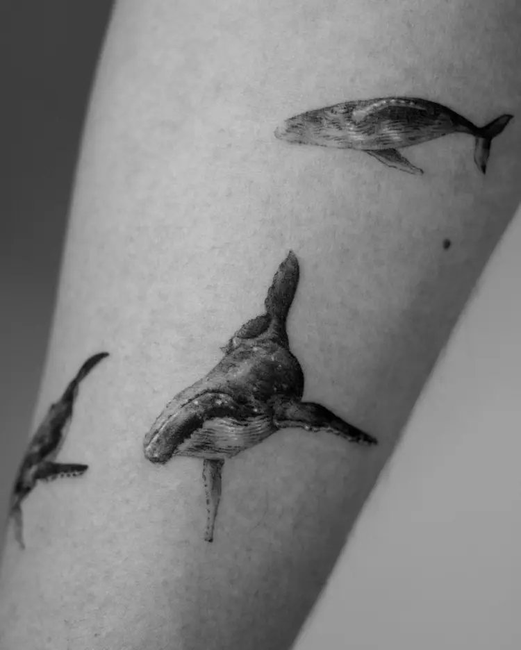 40.tatt