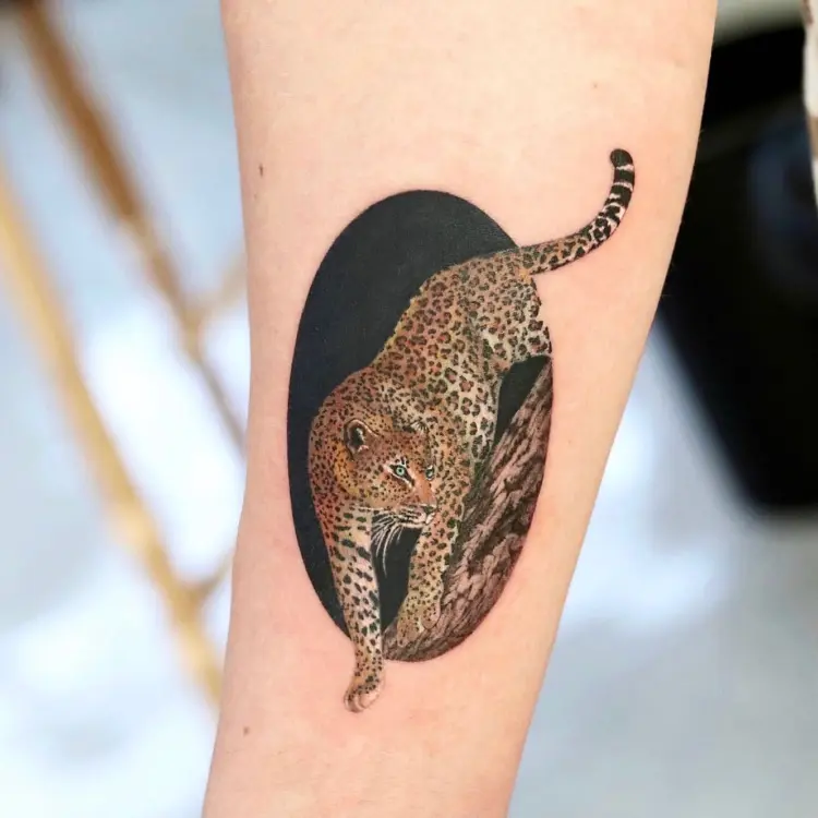 Animal