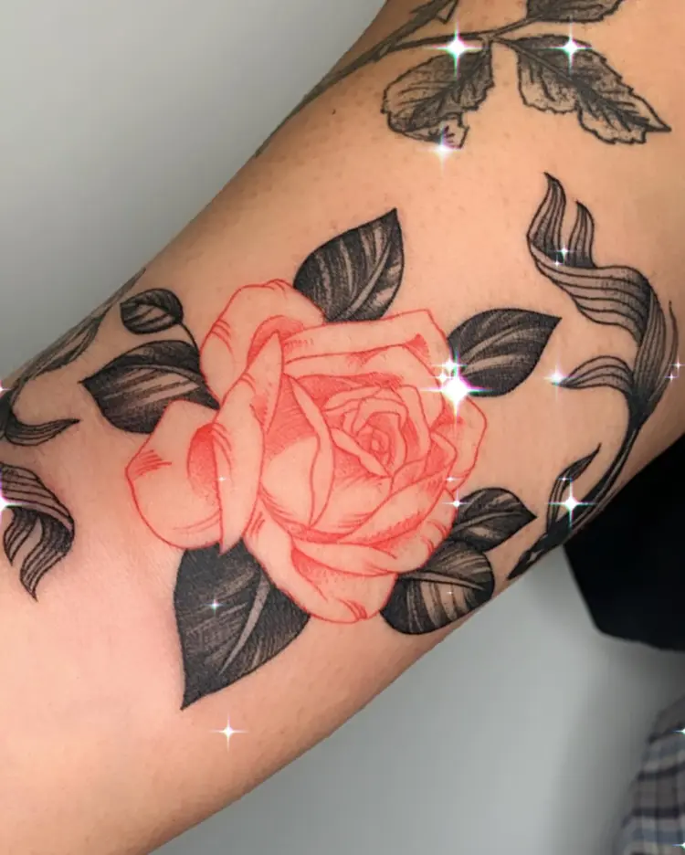 Flower, Rose