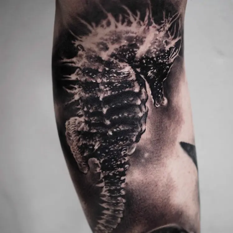 Animal