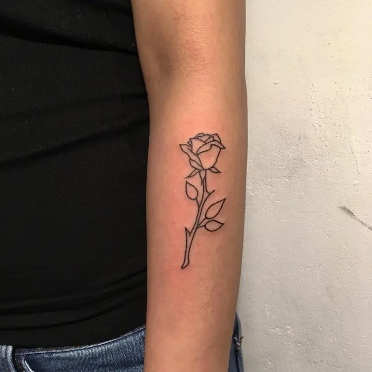 Flower, Rose