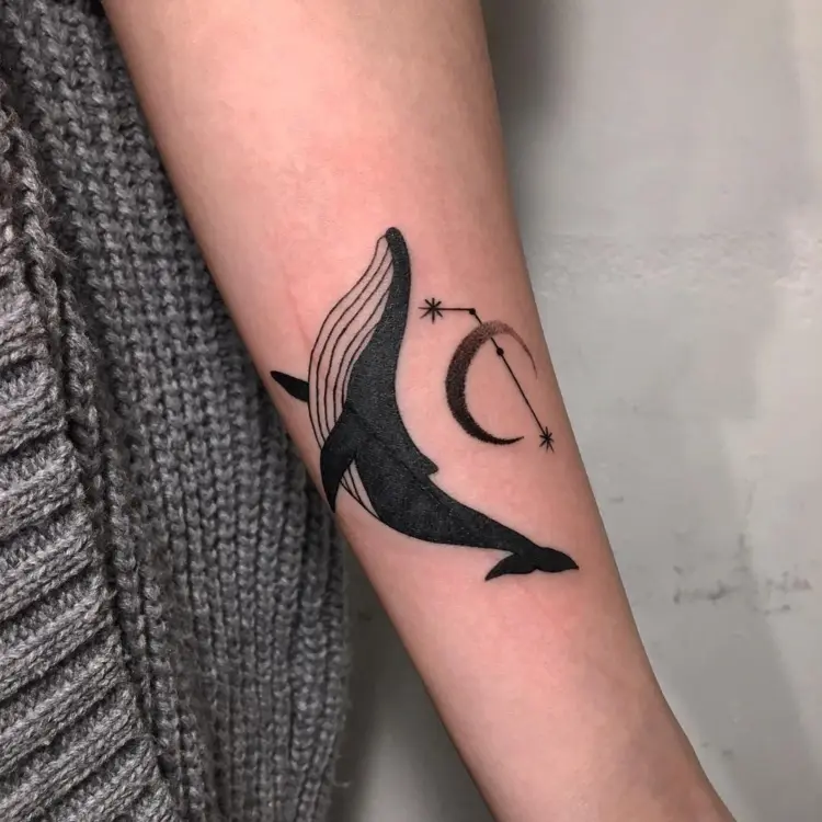 Animal, Nature