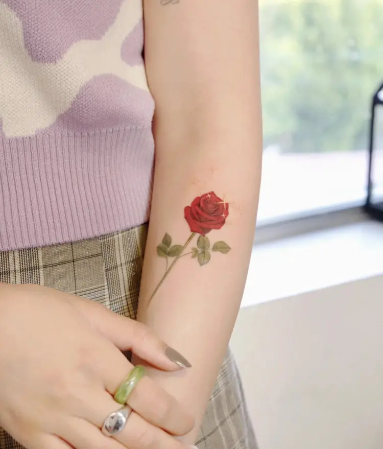 Flower, Rose