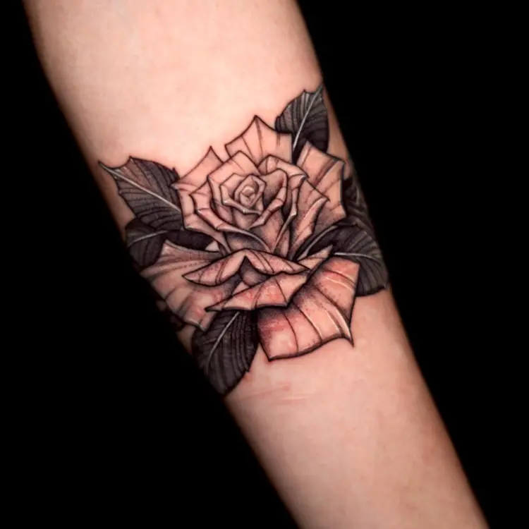 Flower, Rose