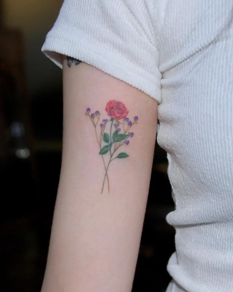 Nature, Rose, Flower