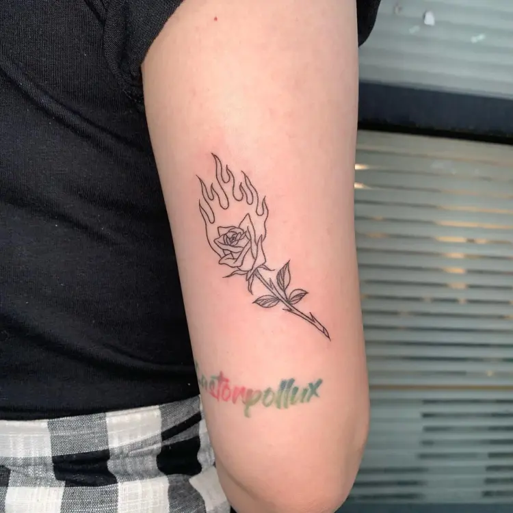 Flower, Rose, Lettering