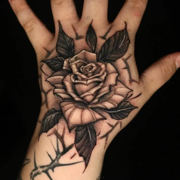 Rose, Flower