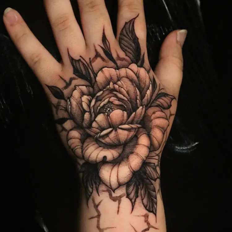Flower, Rose