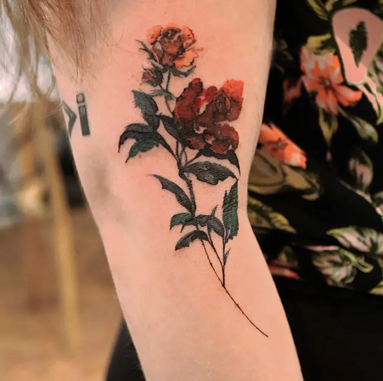 Flower, Rose, Nature