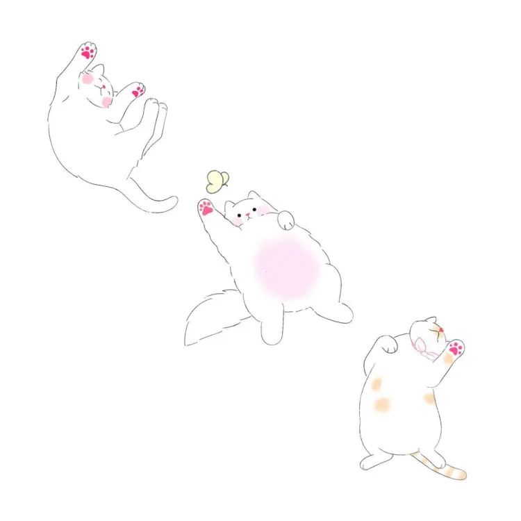 Animal, Flower