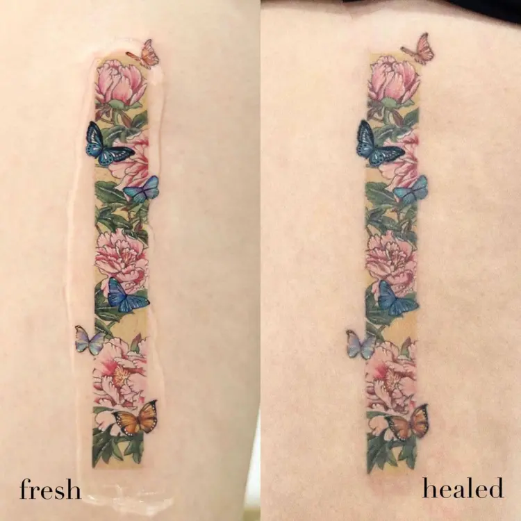Nature, Rose, Flower