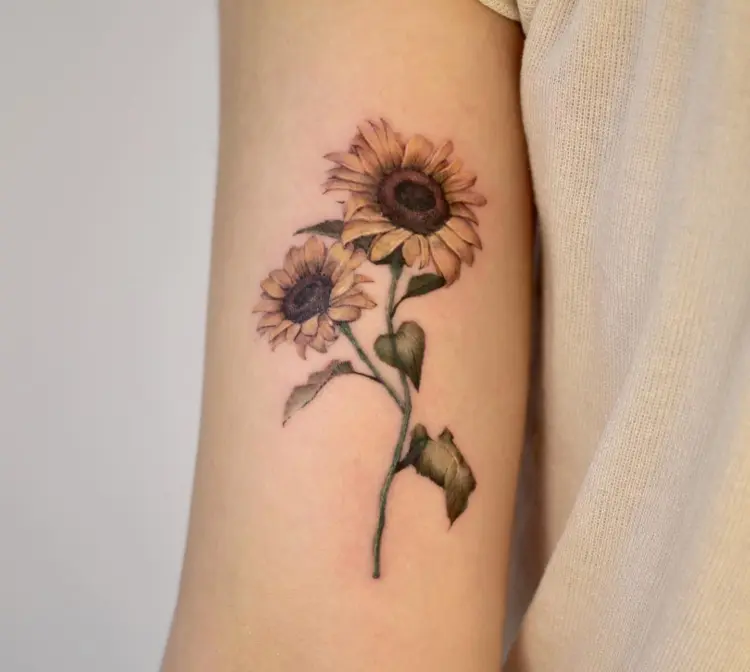 Flower, Nature