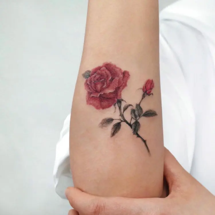 Flower, Rose