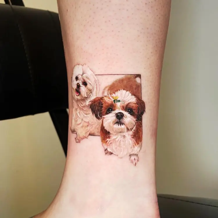 Animal