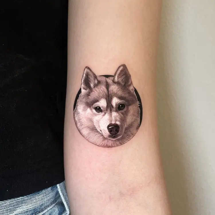 Animal