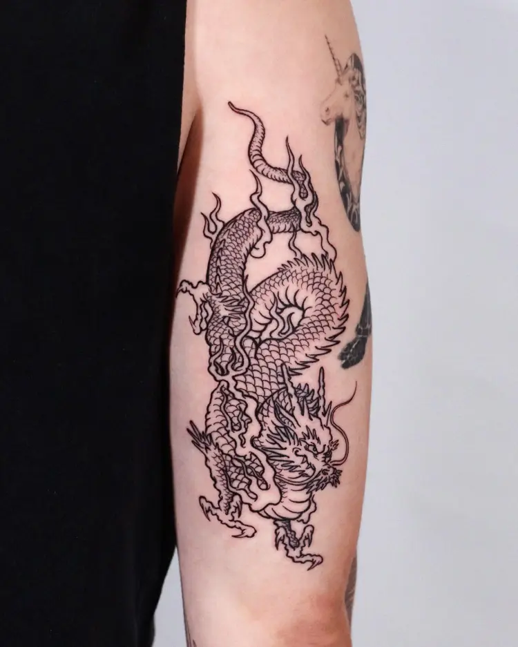 Dragon