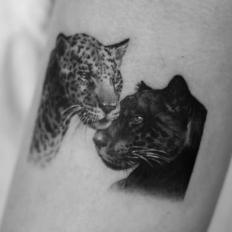 Animal