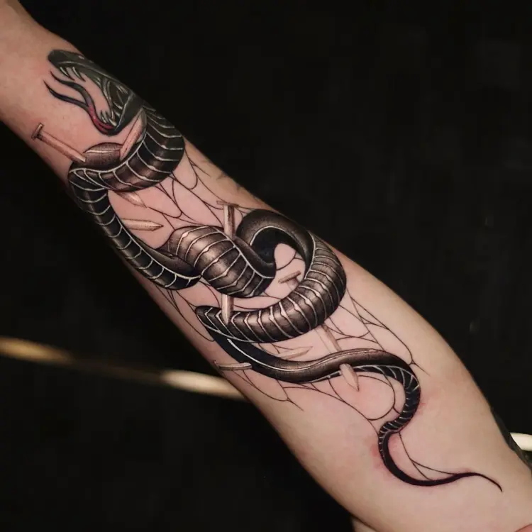 Animal, Snake