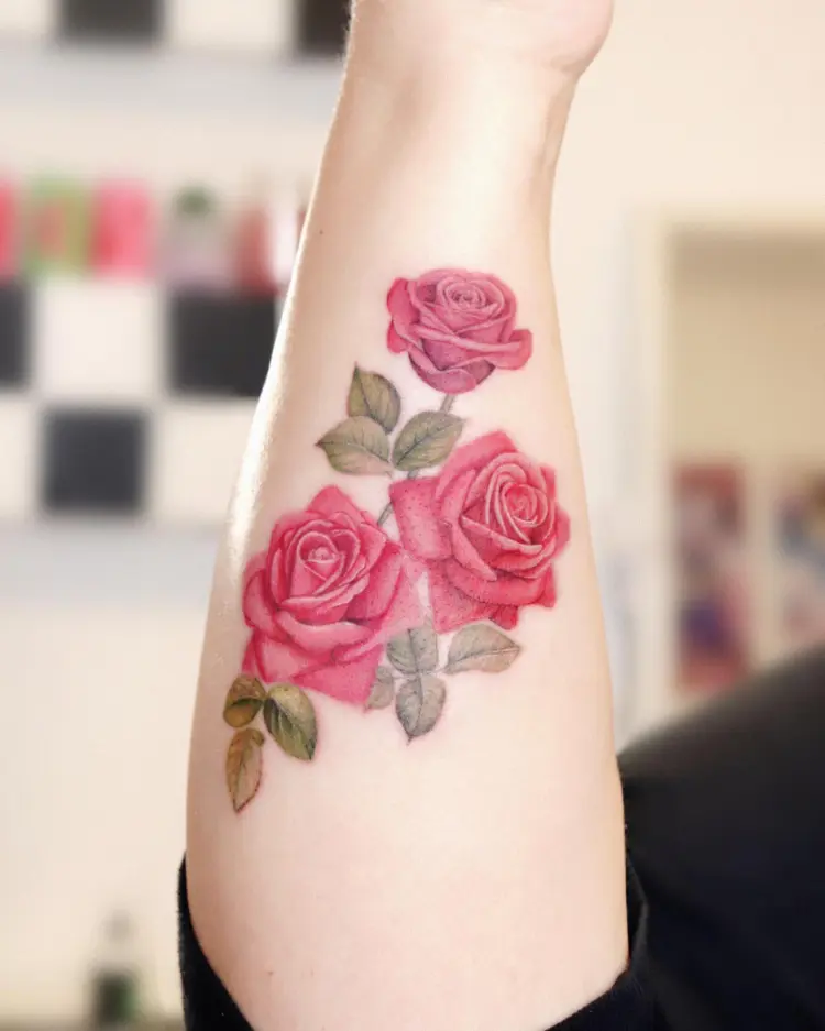 Nature, Flower, Rose