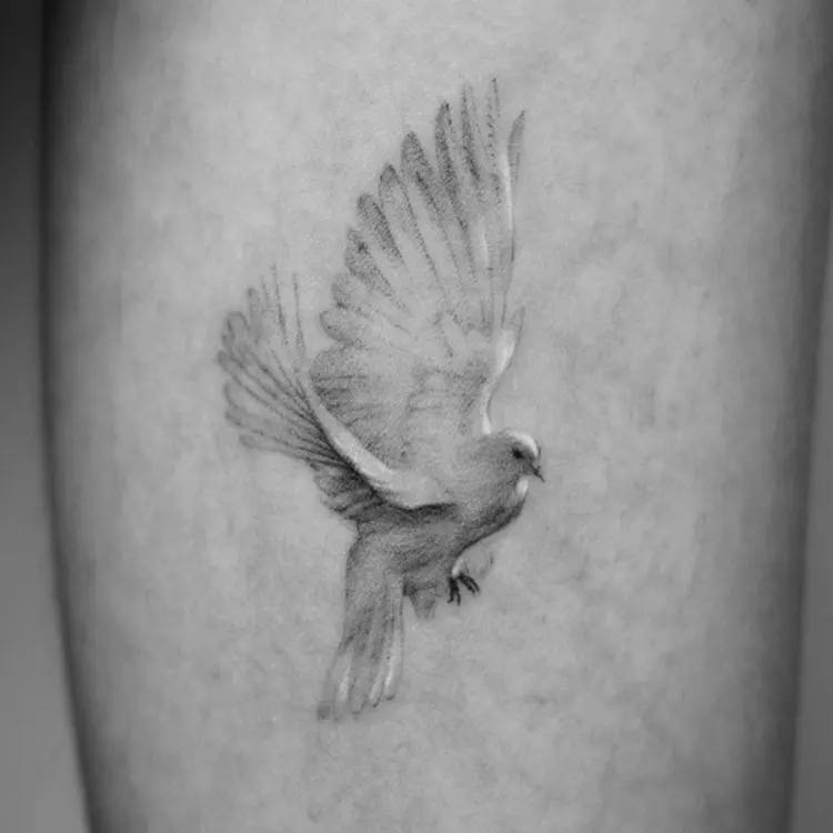 40.tatt