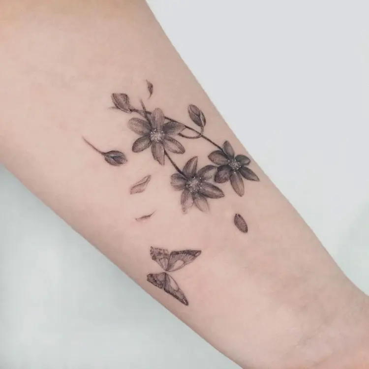 Nature, Flower
