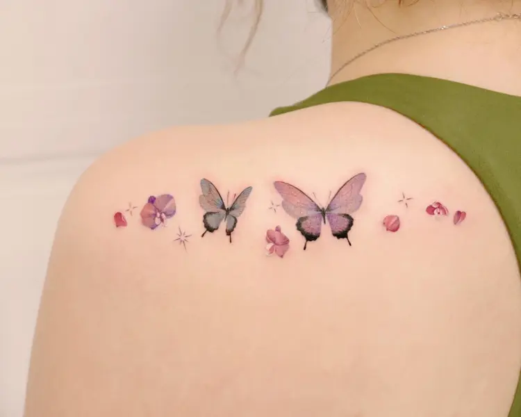 Animal, Nature