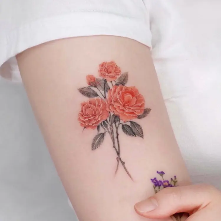 Flower, Rose