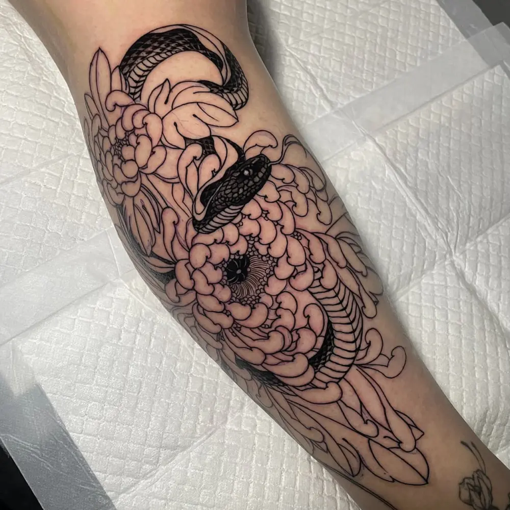 Dragon, Animal
