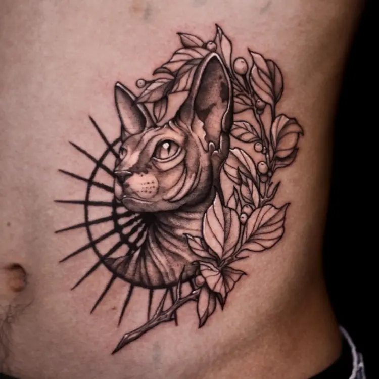 Animal