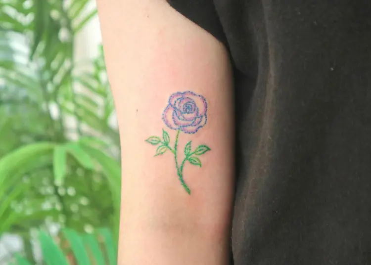 Flower, Rose