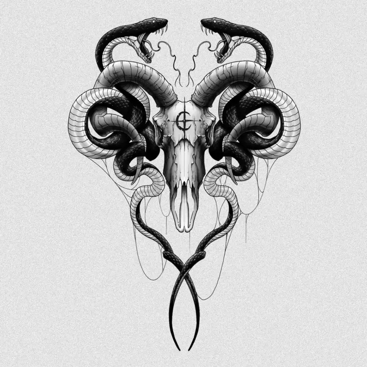 Snake, Animal