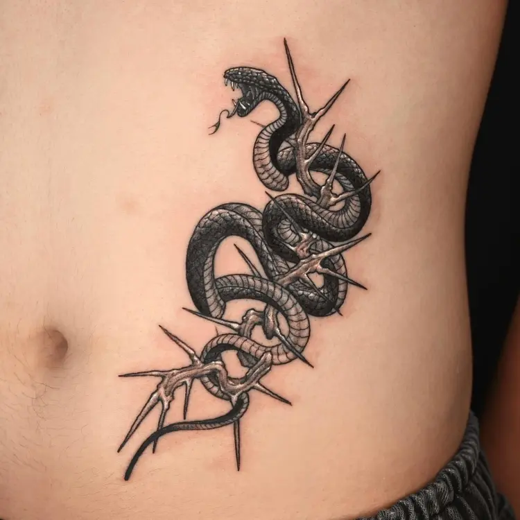 Snake, Animal