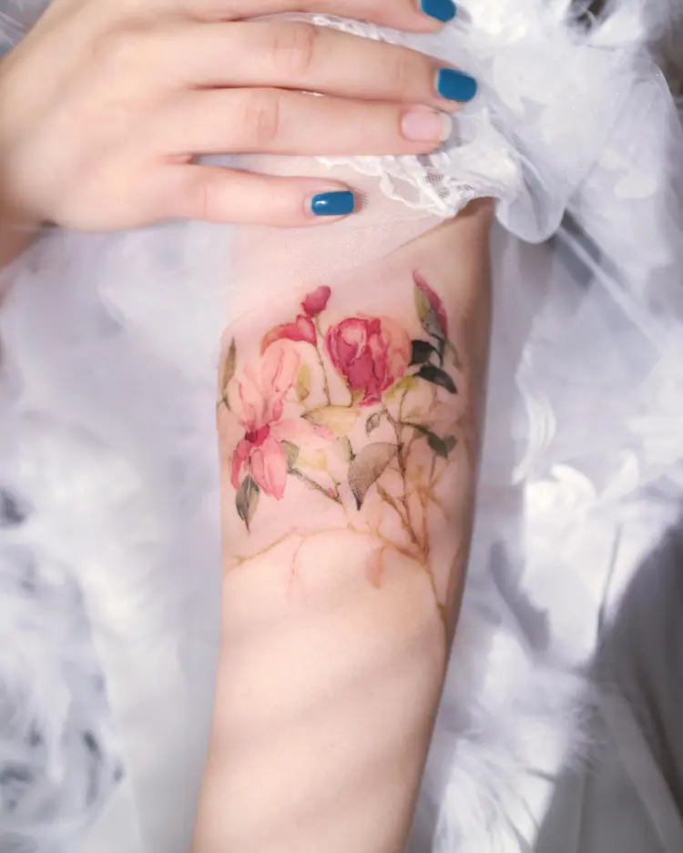 Nature, Flower, Rose