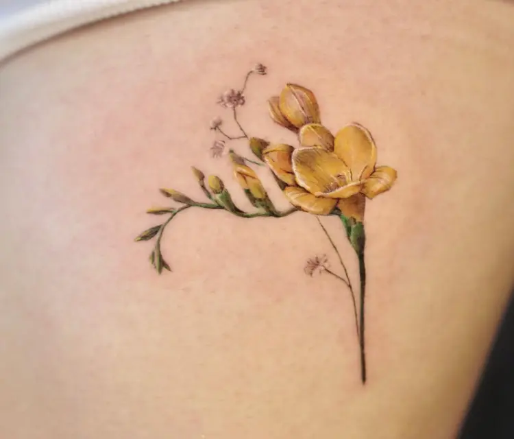 Nature, Flower