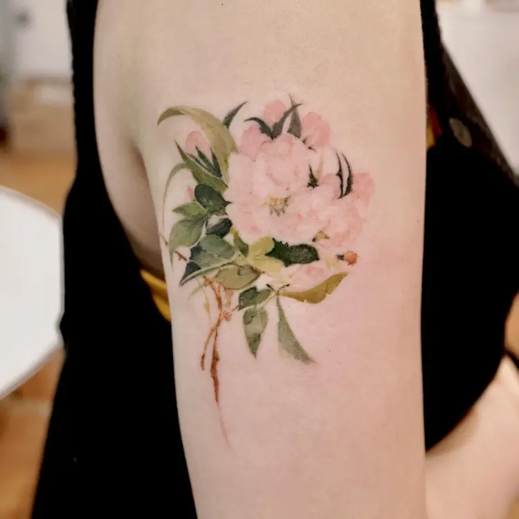 Flower, Rose