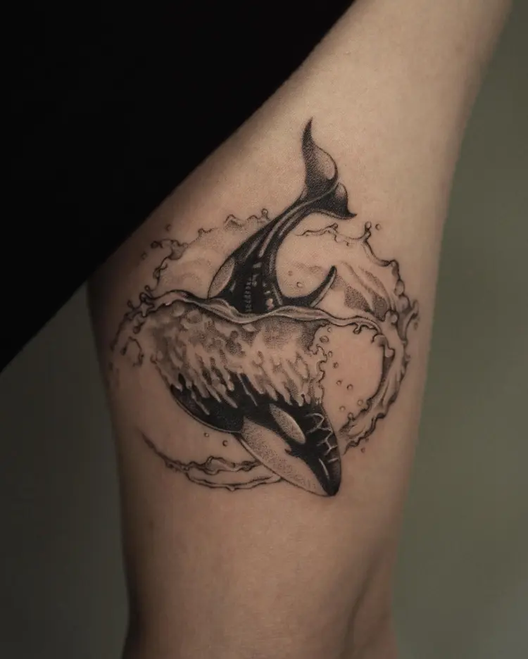 Animal