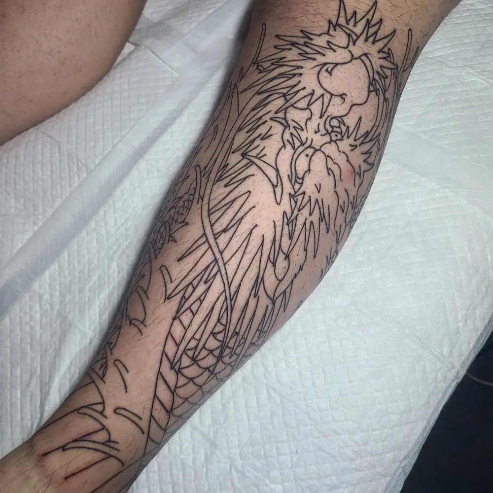 Animal, Dragon
