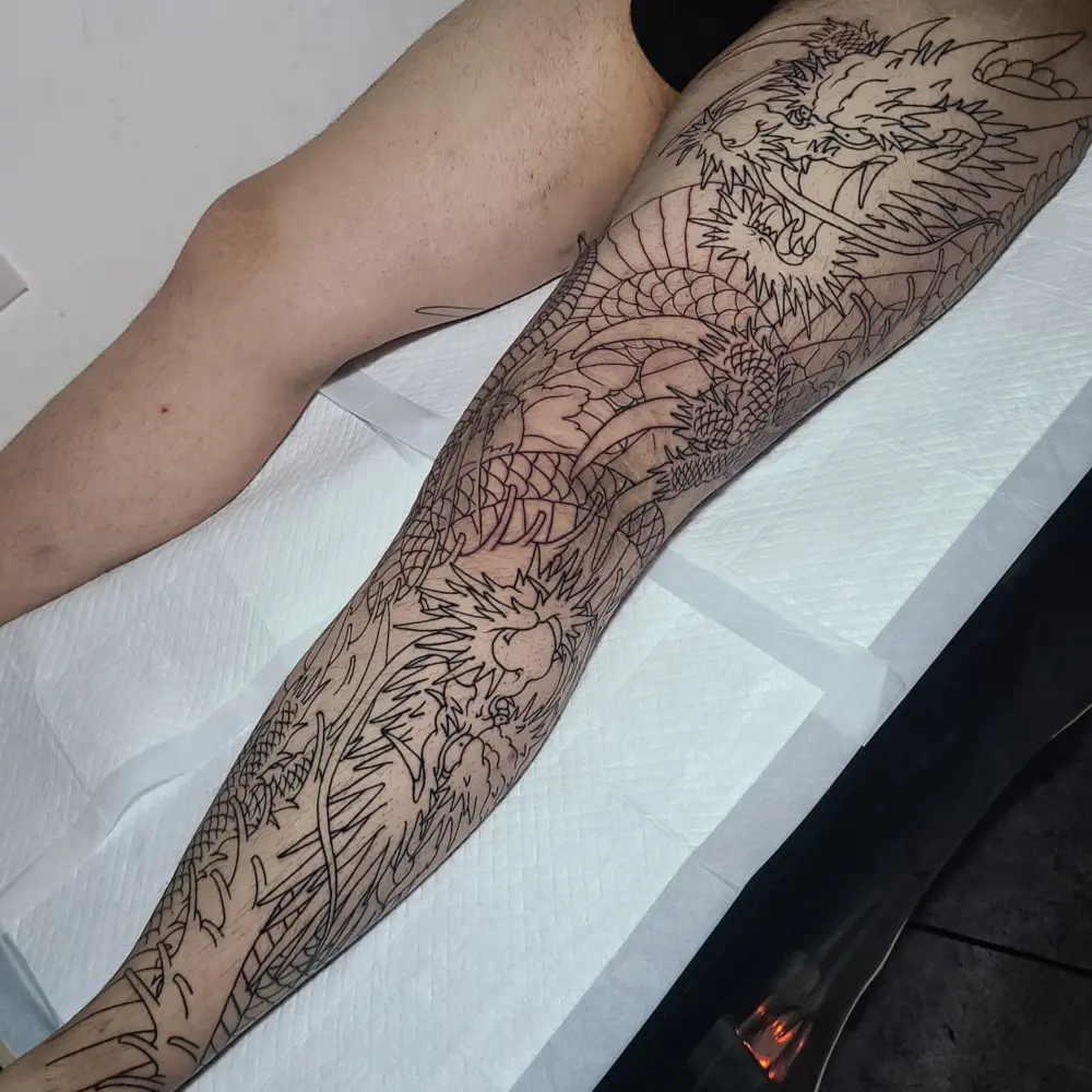 Animal, Dragon