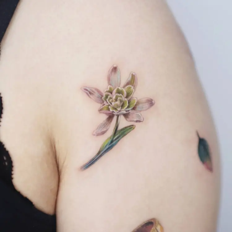 Flower, Nature
