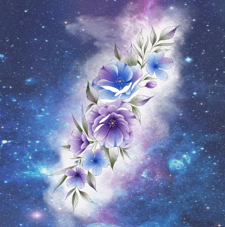 Flower, Rose, Nature
