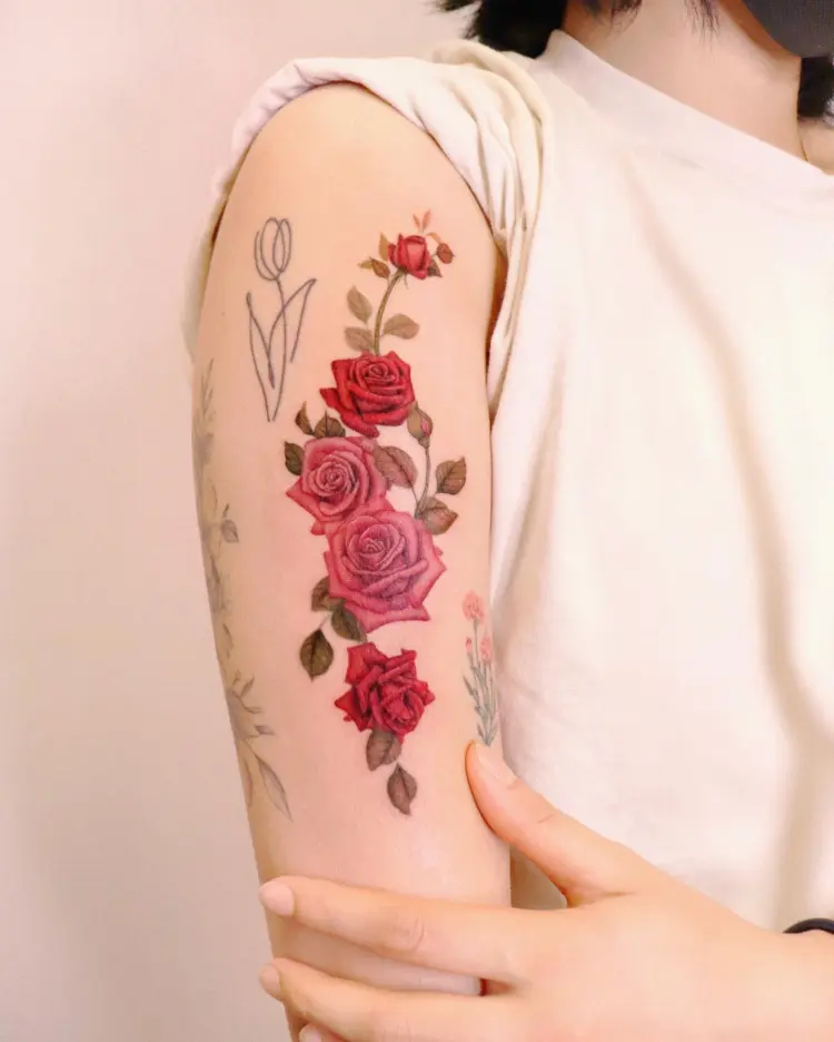 Flower, Rose
