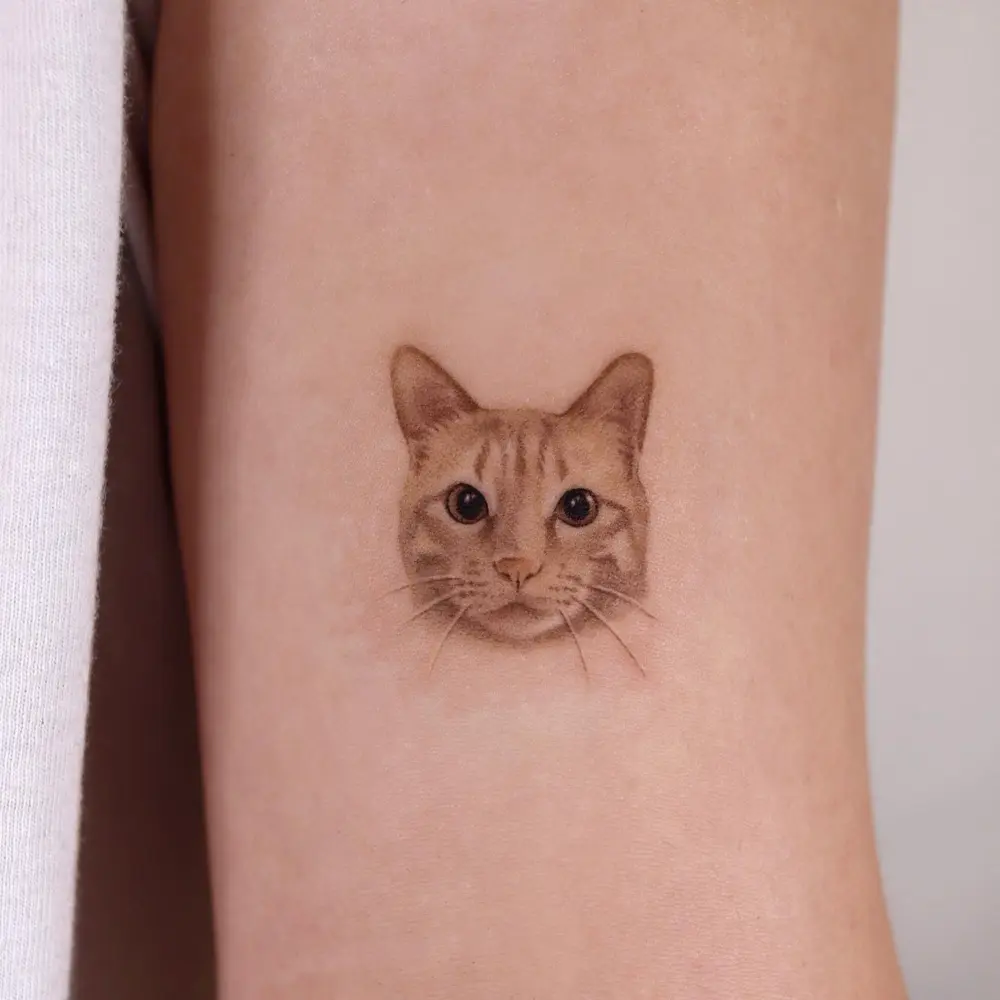 Animal