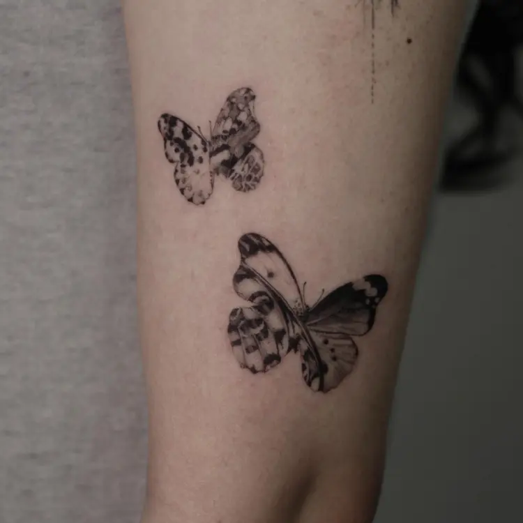 Nature, Animal
