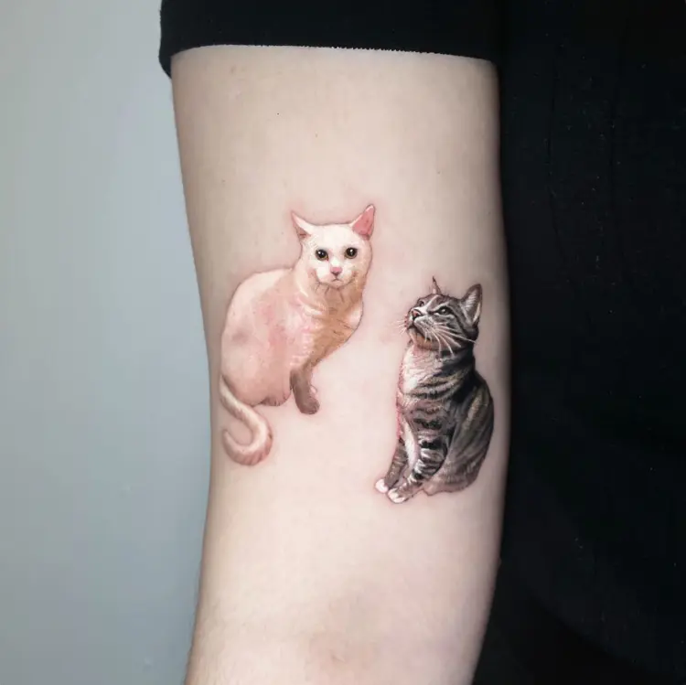 Animal