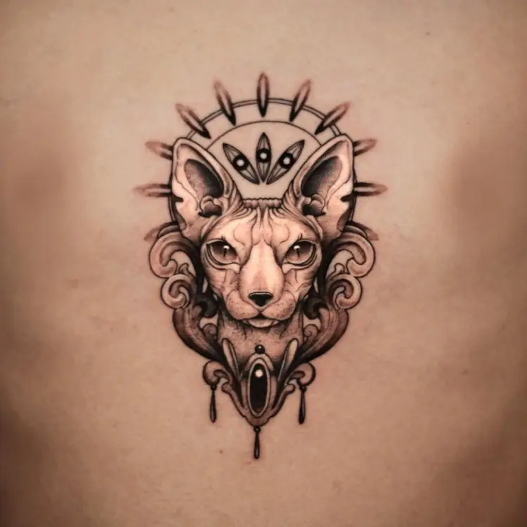 Animal