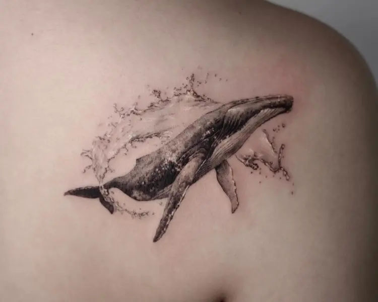 Nature, Animal